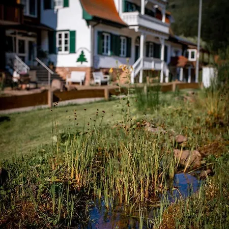 Waldquelle Vital Apartmán Eberbach (Rhein-Neckar-Kreis)