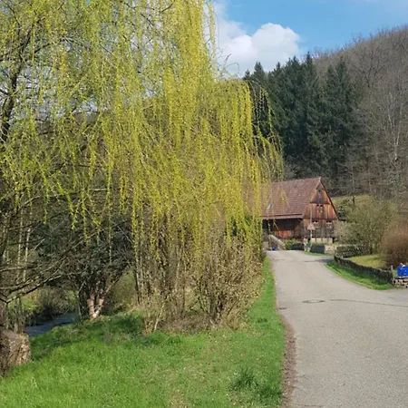 Waldquelle Vital Apartmán *