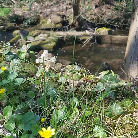 Apartmán Waldquelle Vital